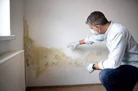 Forensic Mold Investigation in New California, OH